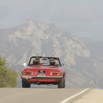 Alfa Romeo Duetto Spider