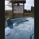 location-automobiles-collection-tourisme de groupe-drive-classic-27